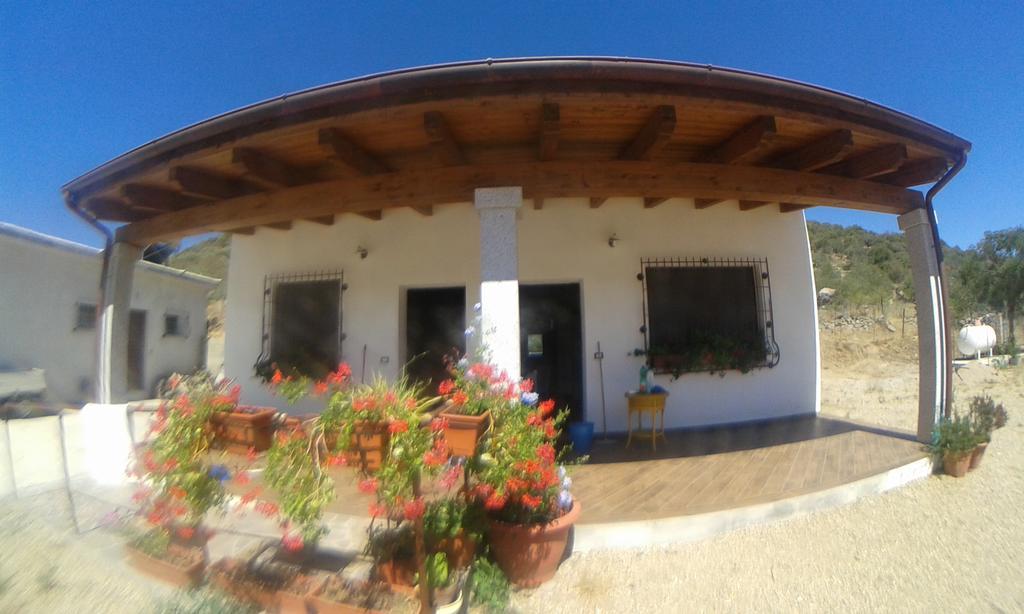 Agriturismo Locoe Oliena Luaran gambar