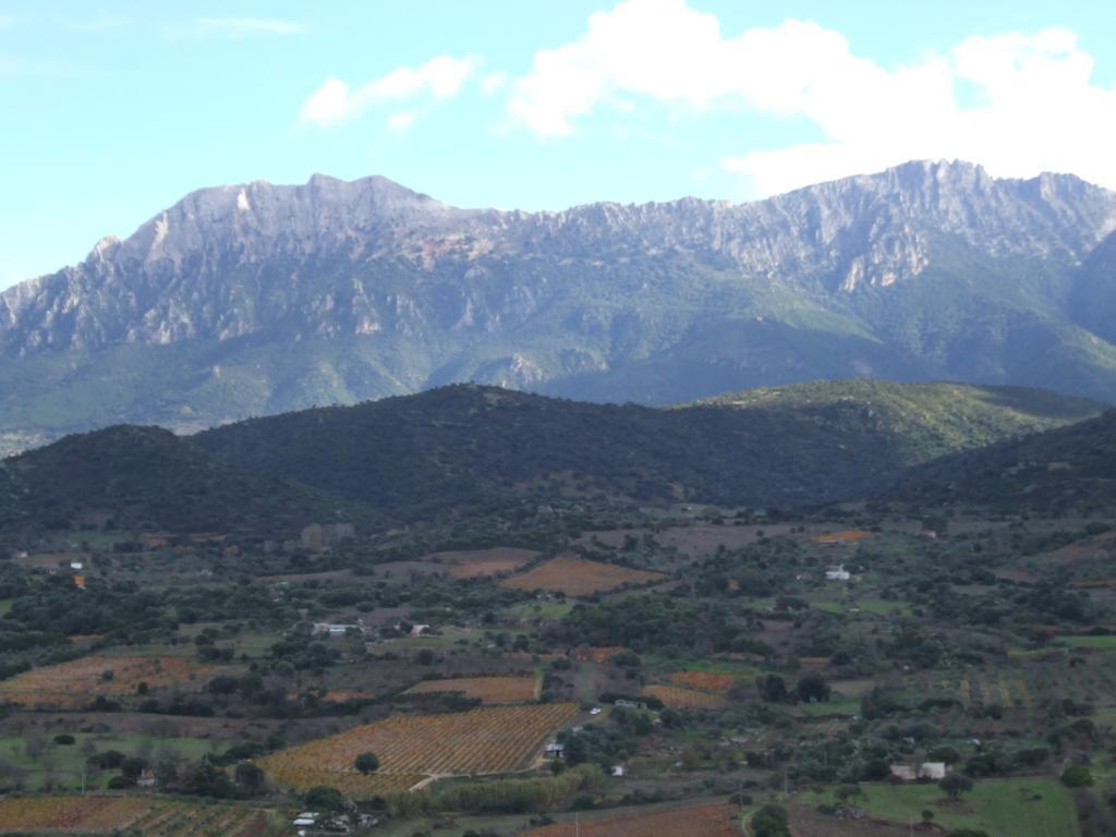 Agriturismo Locoe Oliena Luaran gambar
